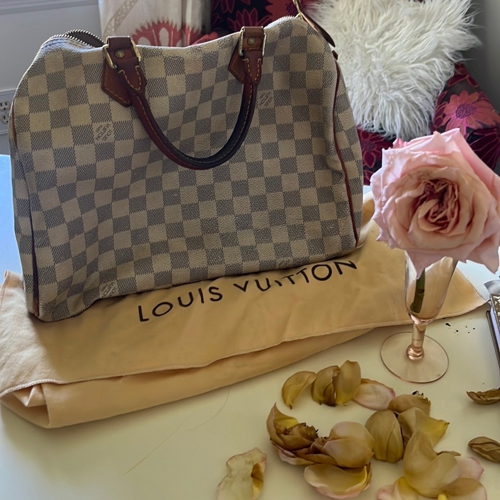 Louis Vuitton Damien Azur Speedy 30